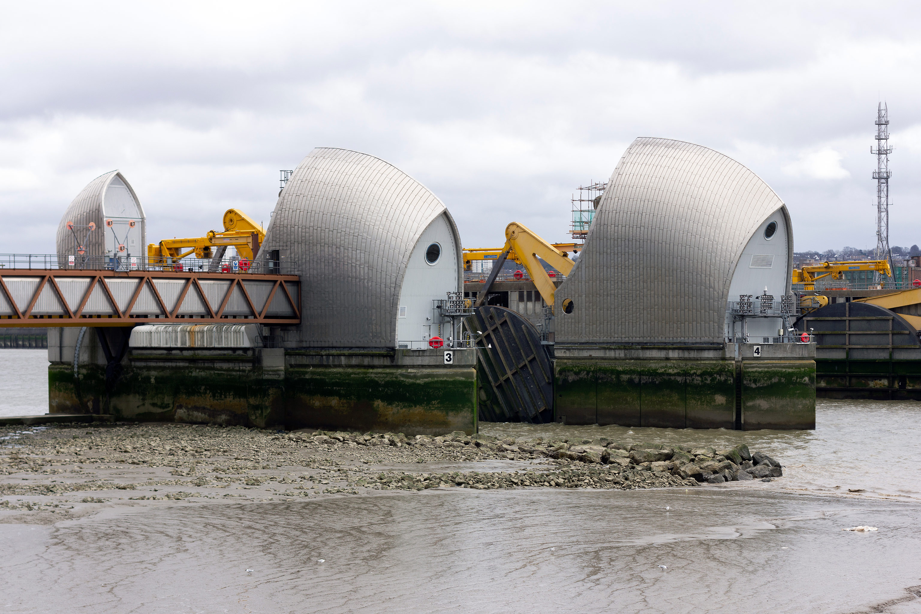 Maddison Graphic Royal Docks Public Realm Framework